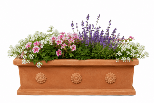 Pflanzkasten Terracotta mit Rosette - Cassetta Borchie